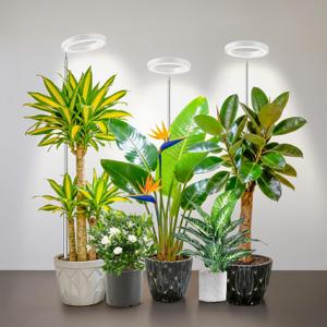 Kullsinss White Grow Light, Full Spectrum LED Plant Lighs for Indoor Growing with 6/12/16H Timer, 3 Color Modes, 5 Brightness, 10"-60" Height Adjustable Plant Lamp for Tall Indoor Plants (3 Pack)