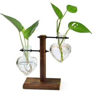 XXXFLOWER Plant Terrarium Wooden Stand 2 Love Bulb Vase+Glass Mushroom Propagation Planter