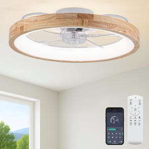 Fszdorj 24'' Low Profile Ceiling Fan with Light and Remote, Fandelier White