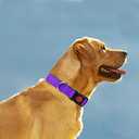 Taglory 18"-28" Dog Collar and 6 FT Dog Leash Set, Highly Reflective Threads Dog Leash, Adjustable Reflective Dog Collar with Safety Locking Buckle for Extra Large Dogs