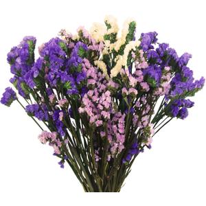 Dried Flowers Bundles Forget Me Not with Stems Natural Dried Flowers Purple Pink and White Preserved Dried Flowers Bouquet for Floral Arrangements Wedding Party DIY Resin Vase Home Decoration