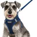 Eagloo Small Dog Harness and Leash Set, Step in Puppy Vest with Breathable Soft Mesh, Walking Reflective Pet Harness for Small Dogs, Navy Blue, S (S(Chest:15.1"-16.5"))