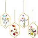 Qunclay 4 Pcs Glass Pressed Flower Frame Hexagon Glass Frame for Pressed Flowers with Chain Double Floating Picture Geometric Wall Decor for Photo Picture Poster in Home Gallery, 4 x 6 in