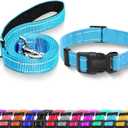 Reflective Dog Collar with Safety Locking Buckle, Adjustable Soft Breathable Nylon Collars for Dogs(Collar+Leash L Sky Blue) (Large (Width 1"))