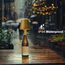 2 Pack Wine Bottle Lamps, 2026 New 3 Color Rechargeable Wireless Bottle Lamps, Bottle Lamp Kit for Liquor Bottles with Touch Dimming for Parties, Restaurants & Home Decor (‌Golden)