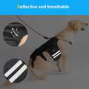 Coodeo Dog Back Brace for Dogs Arthritis, Pet Back Bracer for IVDD, Back Protector Helps Pain Relief, Surgical Recovery and Rehabilitation, Dogs Back Disease Prevention. (Black,Small)