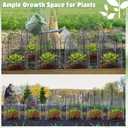 Novabright 2 Pack Garden Cloches for Plants 12" x 16" with Stakes & Zip Ties, Plant Covers from Animals Large Metal Mesh Chicken Wire Cloche Plant Protector Cage for Vegetable Garden Outdoor (Black)