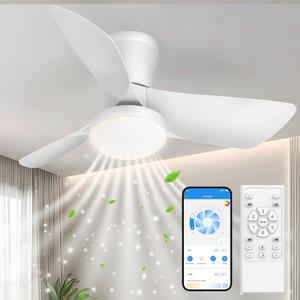 Ceiling Fans Lights with APP & Remote Control: 30 Inch Low Profile Ceiling Fans with Lights Reversible Small Flush Mount Ceiling Fan 3 Colors Quiet 6 Speeds Ceiling Fan for Bedroom Livingroom Kitchen 