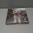 7 x windrio 2026 Wall Calendar, Calendar 2026, July 2025 - December 2026, Wall Calendar Maltese, 12" x 24" Opened,Full Page Months Thick & Sturdy Paper for Calendar Organizing & Planning