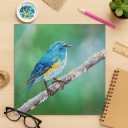 Diamond Art By Leisure Arts DMA Kit12x12 IntermediateBlue Bird
