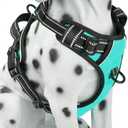 PoyPet No Pull Dog Harness, Reflective Comfortable Vest Harness with Front & Back 2 Leash Attachments and Easy Control Handle Adjustable Soft Padded Pet Vest Dogs (Mint Blue,M)