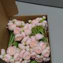 Meldel 32Pcs Ranunculus Artificial Flower, Faux Silk Mini Ranunculus Flowers for DIY Bouquet, Bulk Fake Peony Wedding Filler Flowers for Centerpieces Arrangements Bridal Shower Decorations Light Pink