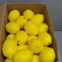 60 Pcs Fake Lemons 3.1 x 2.1 Inch Fake Fruit Faux Yellow Lemon Decor Lifelike Simulation Artificial Lemons for Party Table Summer Kitchen Vase Filler Wreath Garland Photography Prop Decoration