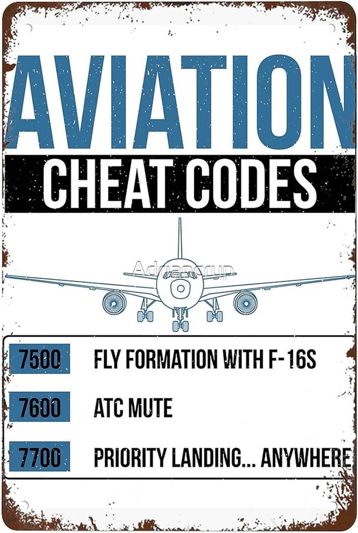 Funny Aviation Cheat Codes Fun ATC Pilot Geschenk Signs Wall Decor Vintage Metal Tin Sign Art Poster Fun Office Pub Kitchen Cafe Man Cave Bathroom Sign Wall Decoration Gift 8x12 Inch