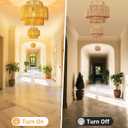 Hanging Light Ceiling Lamp Pendant Lights Rattan Hanging Lamp with Plug in Cord for Living Room Bedroom Kitchen Indoor Hanging Lamp Plug in Woven Lampshade