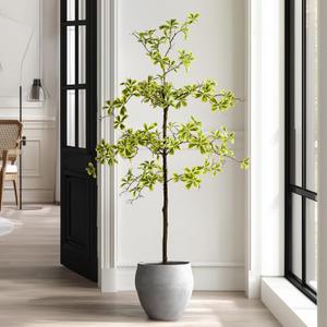 Faux Black Olive Tree 5ft, Faux Plants Indoor Large Tall Tree Artificial Shady Lady Tree with Natural Wood Trunk & Realistic Leaves, Fake Olive Plant for Home Office Indoor Decor (White)