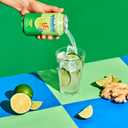 Spindrift Soda Ginger Ale Soda Made with Real Squeezed Fruit 12 Pack Case