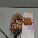 Artificial Flowers for Vase - Beige Silk Mums 10 Long Stems with Eucalyptus, Faux Flowers Home Decor, Neutral Tan Cream Floral Arrangement, Fake Chrysanthemum Pom Pom Stems, Spring Fall Centerpiece