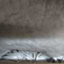 Homemate Heated Electric Blanket King Size - 100"x90" Heating BedBlanket Throw with 10 Heating Levels&8 Hours Auto Off, Fast Heating Over-Heated Protection Ultra Soft Flannel ETL Certified, Grey