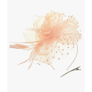 DRESHOW Fascinators Hat Flower Mesh Ribbons Feathers on a Headband and a Clip Tea Party Headwear for Girls and Women