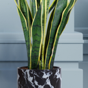 GJCR products 10 Inch Round Ceramic Planter with Tray, White Marble Finish, Indoor Plant Pot with Drainage Mesh and Scratch Pad