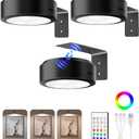 EZVALO Picture Lights for Wall, 2000mAh Rechargeable Battery Magnetic Poster Lights with 3 Color Temps & 12 RGB, Remote Dimmable Timer Painting Light, Wall Decor Light for Art Display, Frame (3 Pack) (Black)