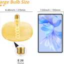 Oversized Decorative LED Light Bulb 6W 500LM E26 Large Fancy Edison Bulbs 60W Incandescent Dimmable 2200k Warm White Pendant Lighting for Bedroom Dining Living Room Bar1 Pack (PK215AM)