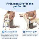 PetSafe Easy Walk No-Pull Dog Harness - Ultimate Harness to Help Stop Pulling - Pull-Free Walks - Take Control & Teach Better Leash Manners - Patented Martingale Loop Design - Fawn, Medium