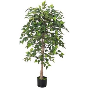 Aphighjoy 4Ft Artificial Birch Tree, Green Siberian Birch Tree for Indoor, Fake Potted Ficus Tree with Silk Leaves for Home Office Living Room Decor Aphighjoy 4Ft Artificial Birch Tree, Green Siberian Birch Tree for Indoor, Fake Potted Ficus Tree with Silk Leaves for Home Office Living Room Decor
