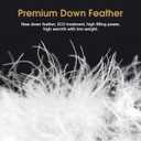 CYMULA Full Size Feather Down Comforter - All Season Dark Grey Duvet Insert, Lightweight Box Stitched, Fluffy Breathable, Ultra Soft Quiet Hotel Style with 8 Tabs(82" x 86")