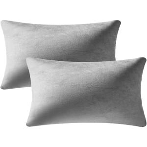 Lumbar Pillow Covers 12x20 Light-Grey: Pack of 2 Cozy Soft Velvet Rectangular Modern Luxury Decorative Throw Pillow Cases for Sofa Couch Living Room Bed Home Decor