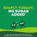 GoGo squeeZ Organic Applesauce and Fruit Puree, Apple Apple, 3.2 oz (Pack of 12), Unsweetened Organic Fruit Snacks for Kids, Gluten Free, Nut Free and Dairy Free, Recloseable Cap, BPA Free Pouches (EXP 04/03/27)