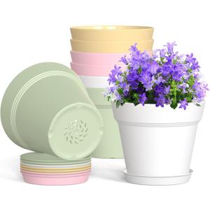 4 Inch Plastic Plant Pots with Drainage Holes and Trays  8 Pack Small Nursery Pots for Indoor & Outdoor House Plants and Flowers, Seedling Starter Planters, Colorful (Multicolor)