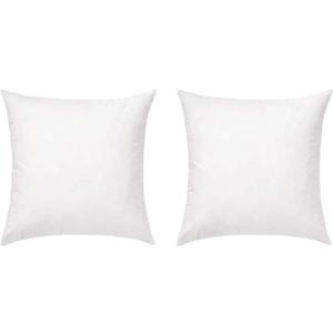 FBTS Basic Throw Pillow Inserts 18x18 Inch Set of 2 Square Sham Stuffer Down Alternative Pillow Forms for Decorative Cushions and Pillows