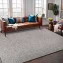 Easy Jute Rug 4x6 Indoor Outdoor Natural Rugs Solid Fiber Rug Woven Area Rug Boho Easy Clean Inside Carpet for Living Room Bedroom Dining Room Hallway or Outdoor Patio Porch (4 X 6 Silver)