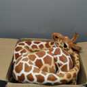 BRINJOY Giant Stuffed Giraffe Animal Set, 47 Inch Large Giraffe Plush Toy for Kids with Bird & Basket & Leaves & Card, Toddler Lifelike Standing Toys Stuffed Animal Gift for Girls Boys