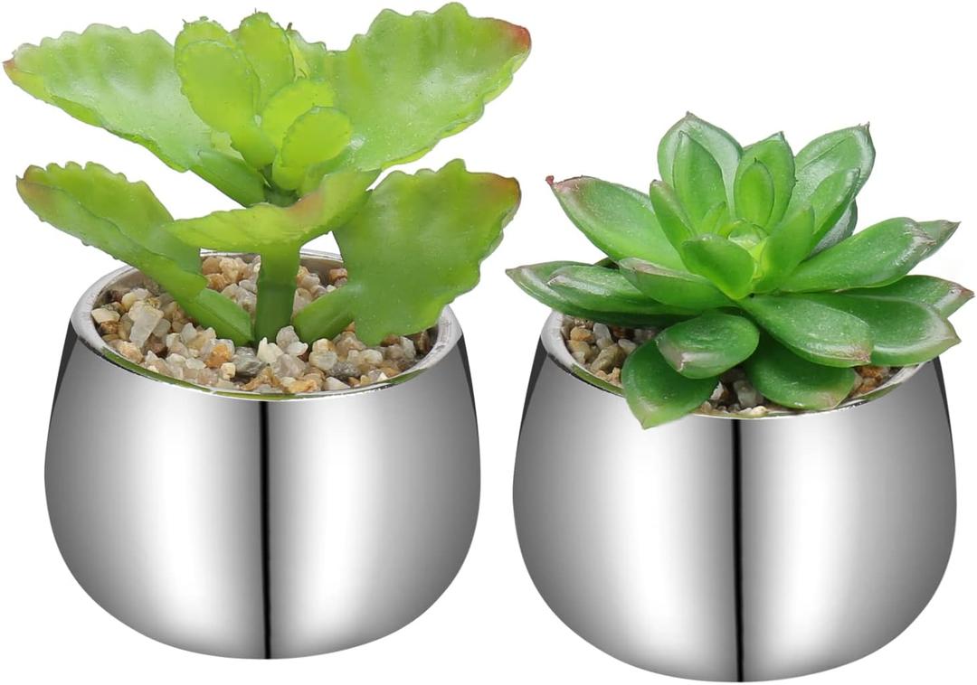 Briful Small Artificial Succulents in Pots Set of 2 Realistic Faux Succulents Plants with Silver Ceramic Pots Cute Mini Fake Plants Decor for Modern Home Table Office Desk Bathroom Shelf Decoration (Style #03)