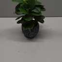 Artificial Potted Plant, Real Touch Artificial Oak Leaves Waterproof Fake Plants Indoor Outdoor, Eco Friendly Modern Concrete Greenery Plant Pots for Office Home Kitchen Shelf Farmhouse Decor