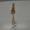 15 Inch Christmas Tree Star Topper with 150 LED Timer Lights & Remote, 19-Point USB Powered Lighted Silver Starburst Star Tree Topper for Indoor Holiday Party Xmas Tree Decor