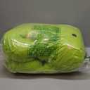 IKASA Large Dinosaur Stuffed Animal Plush Toy, Giant T-Rex Cute 23" Jumbo Soft Toys, Huge Big Size Fluffy Plushy Fat Plushie, Gifts for Kids