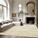 Soalmost 6x9 Area Rug for Living Room Floral Washable Non-Slip Modern Rugs for Bedroom Dinning Room Ultra-Thin Indoor Beige