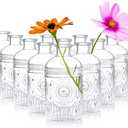 Kingrol 12 Pack Clear Glass Bud Vases, Small Vases for Flowers, Vintage Glass Bottles for Home Office Decor, Centerpieces for Wedding Table