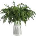 Jutom Christmas Norfolk Pine Branches, Artificial Norfolk Branch Faux Plants Greenery Stem Pine Picks for Christmas Vase DIY Crafts Centerpiece Garland Wreath Home Decor (12 Pcs,18 Inches)