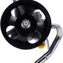 Power Steering Pump with Pulley Replacement for Kia Sedona 2006-2010 Hyundai Entourage 2007-2009 V6 3.8L Mini Passenger Van 571104D200