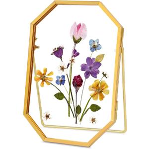 REDHUGO Glass Pressed Flower Frame Handmade, Octagon, 4x6 inches, Gold (4L" x 6W")