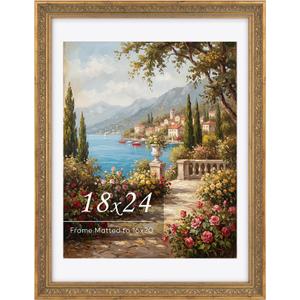 Golden State Art 18x24 Ornate Picture Frame Display 16x20 Photo With Mat