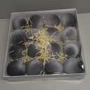 Velvet Ornaments for Christmas Tree Decorations - Light Baby Pink Christmas Ball Ornament for Indoor Holiday Decor - Shatterproof Xmas Bulbs Ornaments 80mm 3.15inch - Pack of 16