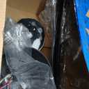 42" Ceiling Fans with Lights-Low Profile Ceiling Fan with Light and Remote/APP Control,Flush Mount,DC Reversible,LED Dimmable Blakc Ceiling Fans for Bedroom,Indoor/Outdoor Patio Use (Black)