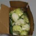 MARTINE MALL 2 Packs Peonies Artificial Flowers, Mixed Green Artificial Peonies, Silk Peonies Flowers Fake Peonies Artificial Peony Flowers for Centerpiece Table Wedding Party Home Decor