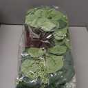 Hotop 100 Pcs Mixed Eucalyptus Leaves Stems Bulk Artificial Silver Dollar Greenery for Bouquet Faux Plant Branches for Wedding Bridal Bouquets Vase Floral Arrangement Home Decor